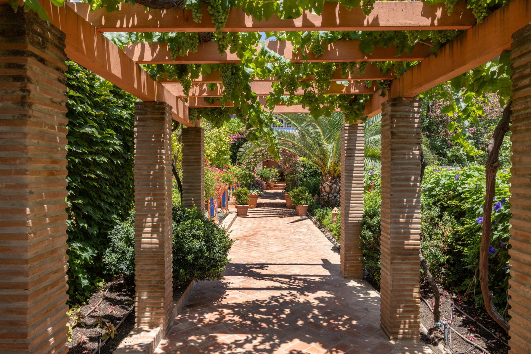 Villa del Rio villa photo.